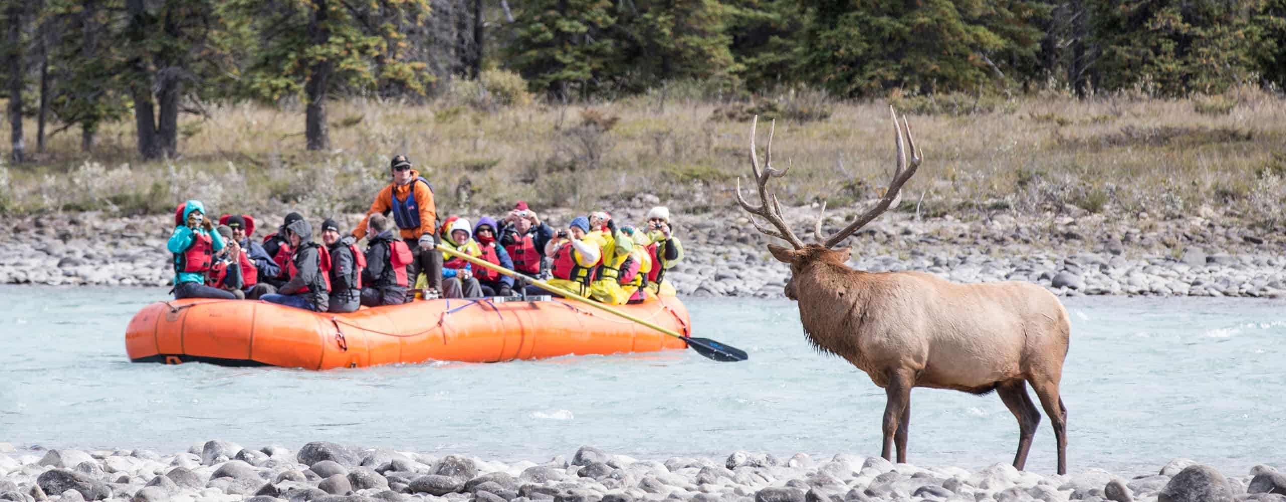 Rocky Mountaineer Excursion